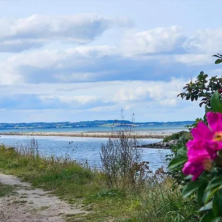 Nyaraló 84210-ebeltoft-fuksiavej-1 *